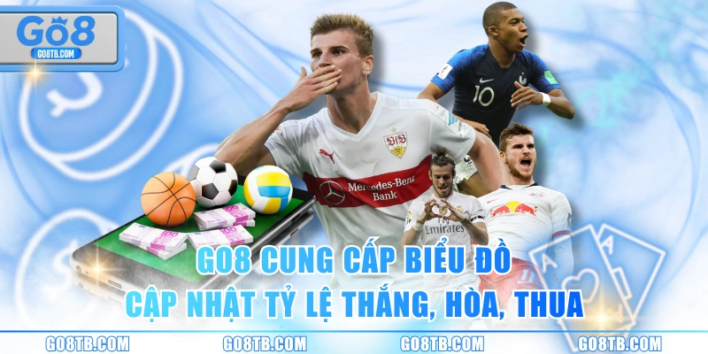 GO8 cung cấp biểu đồ cập nhật tỷ lệ thắng, hòa, thua